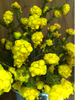 image-20100821192530.png