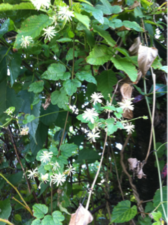 image-20100826150421.png