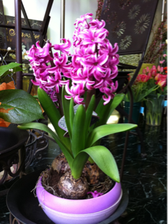 image-20110302174746.png