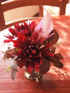image-20110607160605.png