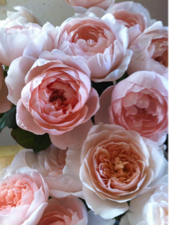 image-20100814170738.png