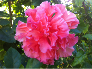 image-20100824214337.png