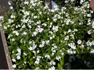 image-20110401144232.png