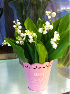 image-20110501170512.png