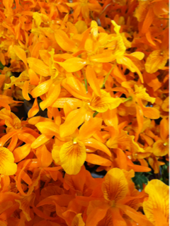 image-20110602161024.png